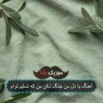 آهنگ با دل من جنگ نکن من که تسلیم توام آهنگ با دل من جنگ نکن من که تسلیم توام