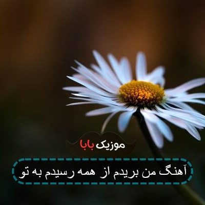 آهنگ من بریدم از همه رسیدم به تو