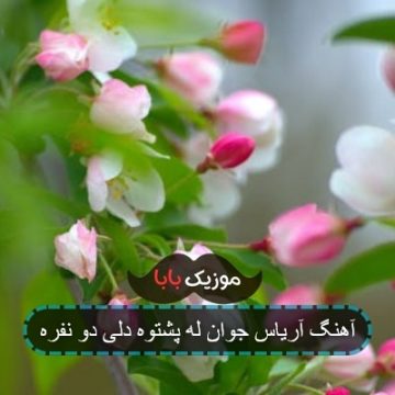 آهنگ آریاس جوان له پشتوه دلی دو نفره آهنگ آریاس جوان له پشتوه دلی دو نفره