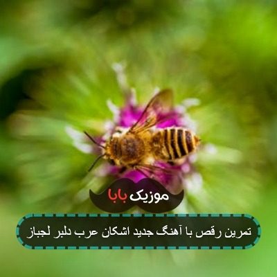 آهنگ دلبر لجبازه و ناز اندازه میده آهنگ دلبر لجبازه و ناز اندازه میده