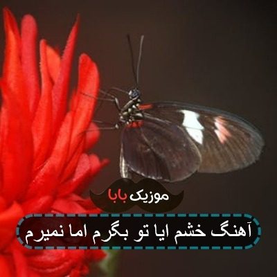 آهنگ خشم ایا تو بگرم اما نمیرم