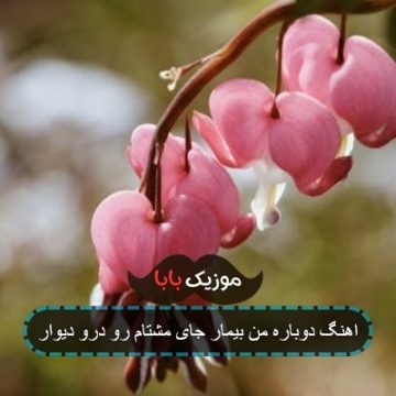 اهنگ دوباره من بیمار جای مشتام رو درو دیوار اهنگ دوباره من بیمار جای مشتام رو درو دیوار