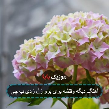آهنگ دیگه وقتشه بری برو زل زدی به چی