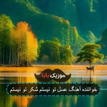 خواننده آهنگ عسل تو نیستم شکر تو نیستم