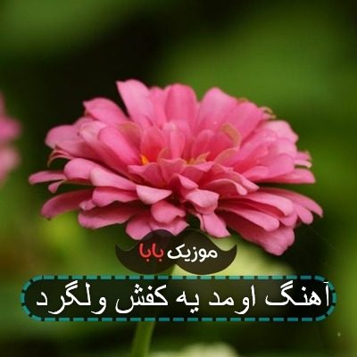 آهنگ اتل متل یه مورچه قدم میزد تو کوچه آهنگ اتل متل یه مورچه قدم میزد تو کوچه