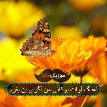 آهنگ آوات بوکانی من آگری بن بفرم