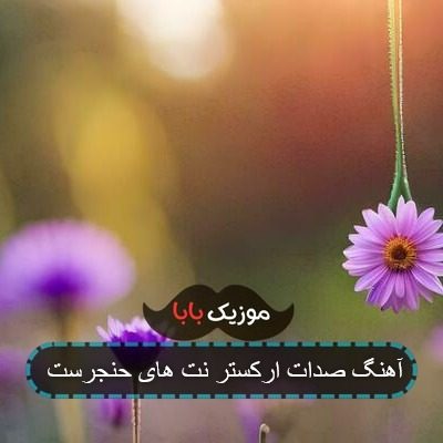آهنگ صدات ارکستر نت های حنجرست