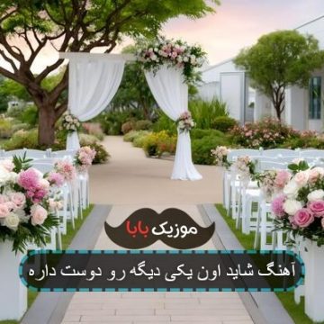 آهنگ شاید اون یکی دیگرو دوست داره