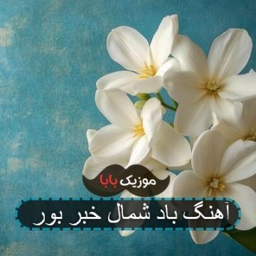 آهنگ باد شمال خبر بور آهنگ باد شمال خبر بور