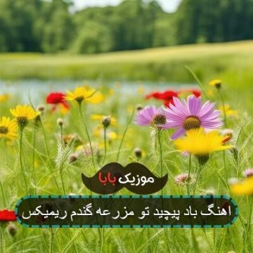 اهنگ باد پیچید تو مزرعه گندم ریمیکس