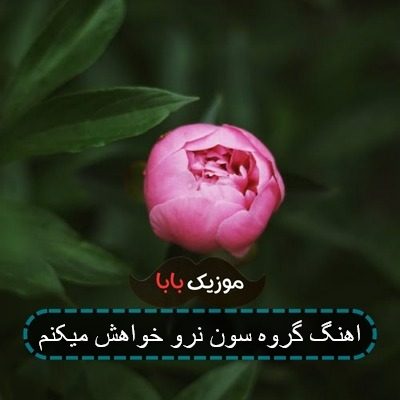 اهنگ گروه سون نرو خواهش میکنم