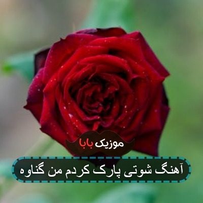 آهنگ شوتی پارک کردم من گناوه