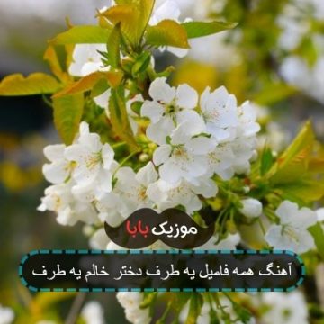 آهنگ همه فامیل یه طرف دختر خالم یه طرف آهنگ همه فامیل یه طرف دختر خالم یه طرف