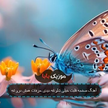 آهنگ صفحه قلبت خیلی شلوغه دیدی حرفات همش دروغه