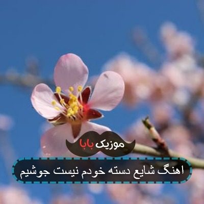 آهنگ نه اهل مدارا نه چشم پوشیم