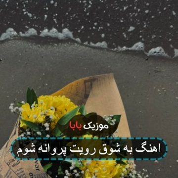 اهنگ به شوق رویت پروانه شوم