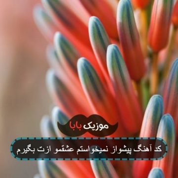 کد آهنگ پیشواز نمیخواستم عشقمو ازت بگیرم کد آهنگ پیشواز نمیخواستم عشقمو ازت بگیرم