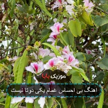 اهنگ بی احساس غمام یکی دوتا نیست