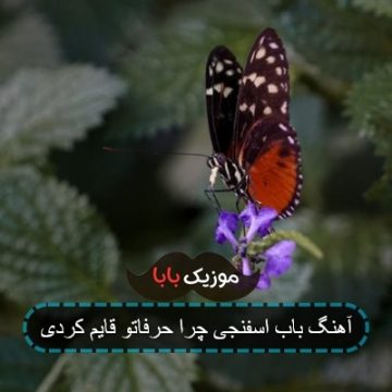 آهنگ باب اسفنجی چرا حرفاتو قایم کردی آهنگ باب اسفنجی چرا حرفاتو قایم کردی