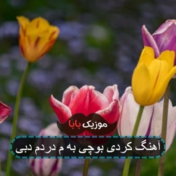 آهنگ کردی بوچی به م دردم دبی آهنگ کردی بوچی به م دردم دبی