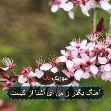 آهنگ بگذر ز من ای آشنا از کیست