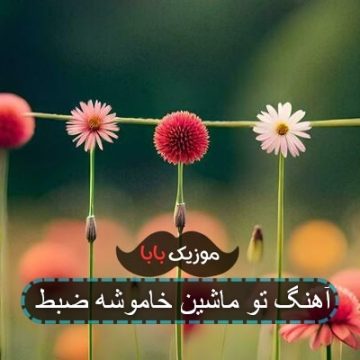 آهنگ کینه دارم از همه شتری ریمیکس