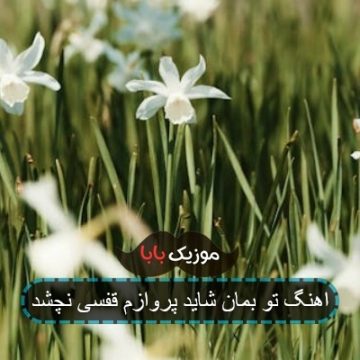اهنگ تو بمان شاید پروازم قفسی نچشد