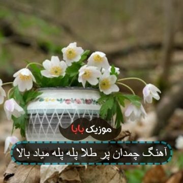 آهنگ چمدان پر طلا پله پله میاد بالا آهنگ چمدان پر طلا پله پله میاد بالا