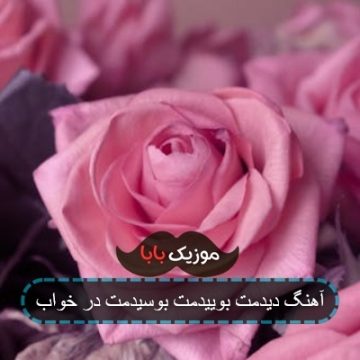 آهنگ دیدمت بوییدمت بوسیدمت در خواب