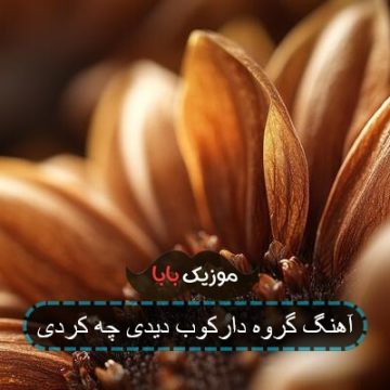 آهنگ گروه دارکوب دیدی چه کردی آهنگ گروه دارکوب دیدی چه کردی