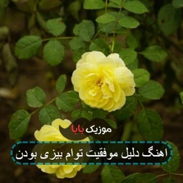 اهنگ دلیل موفقیت توام بیزی بودنه
