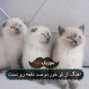 اهنگ از تو خوردم صد دفعه رو دست