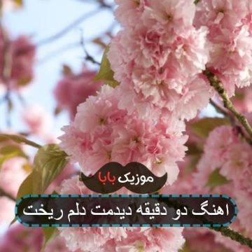 اهنگ دو دقیقه دیدمت دلم ریخت اهنگ دو دقیقه دیدمت دلم ریخت