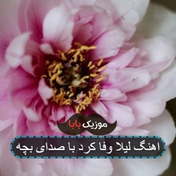 اهنگ لیلا وفا کرد با صدای بچه اهنگ لیلا وفا کرد با صدای بچه