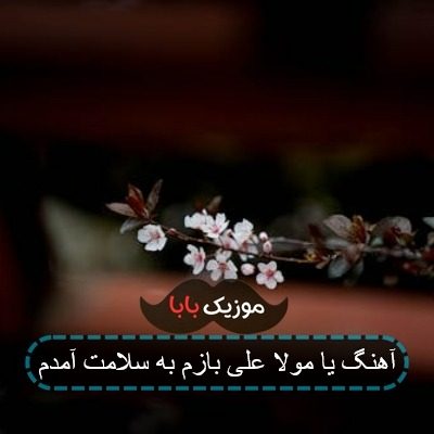 آهنگ یا مولا علی بازم به سلامت آمدم