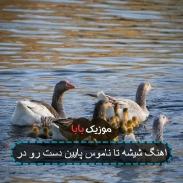 اهنگ شیشه تا ناموس پایین دست رو در