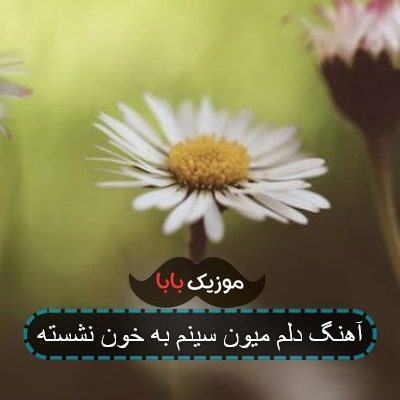 آهنگ دلم میون سینم به خون نشسته