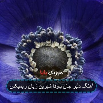 آهنگ دلبر جان باوفا شیرین زبان ریمیکس