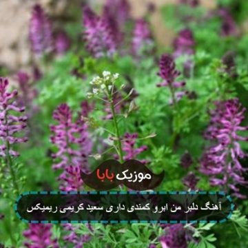 آهنگ دلبر من ابرو کمندی داری سعید کریمی ریمیکس آهنگ دلبر من ابرو کمندی داری سعید کریمی ریمیکس