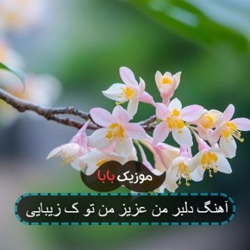 آهنگ دلبر من عزیز من تو ک زیبایی