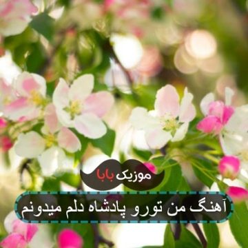 آهنگ من تورو پادشاه دلم میدونم آهنگ من تورو پادشاه دلم میدونم