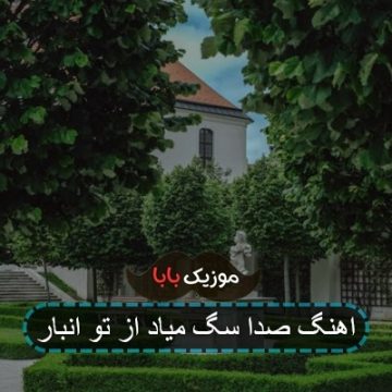 اهنگ صدا سگ میاد از تو انبار