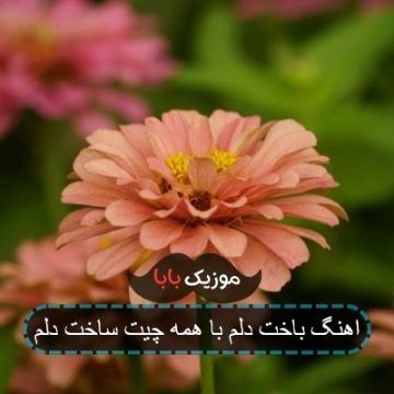 اهنگ باخت دلم با همه چیت ساخت دلم