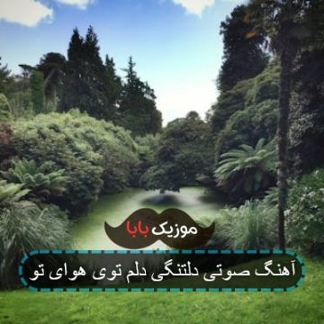 آهنگ صوتی دلتنگی دلم توی هوای تو