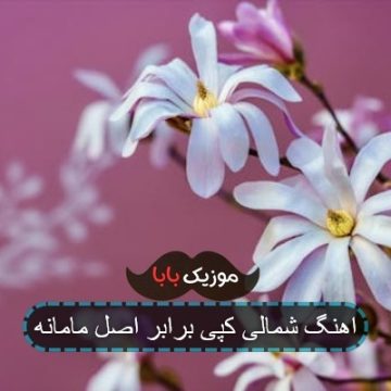 اهنگ مازندرانی کپی برابر اصل مامانه اهنگ مازندرانی کپی برابر اصل مامانه
