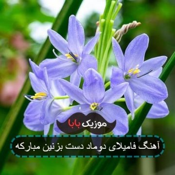 آهنگ فامیلای دوماد دست بزنین مبارکه