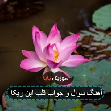 اهنگ سوال و جواب قلب این ریکا به پای تو