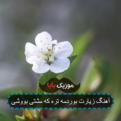 اهنگ زیارت ببرمت تورو که مشتی بووشی اهنگ زیارت ببرمت تورو که مشتی بووشی