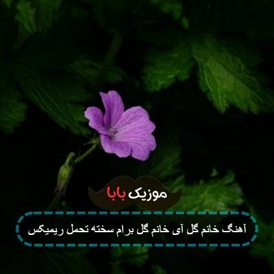 آهنگ خانم گل آی خانم گل برام سخته تحمل ریمیکس