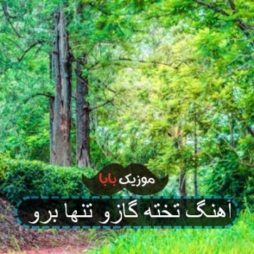 آهنگ تخته گازو تنها برو آهنگ تخته گازو تنها برو